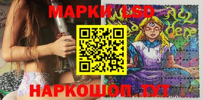 крисы Пенза