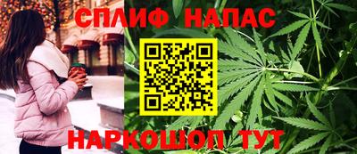 крисы Пенза