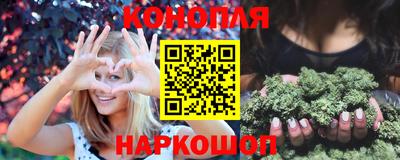 крисы Пенза