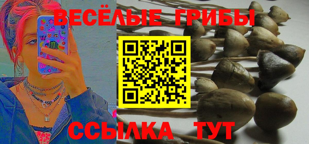 даркнет сайт  Вход с VPN  Похвистнево  Псилоцибиновые грибы мицелий  Псилоцибиновые грибы мухоморы 