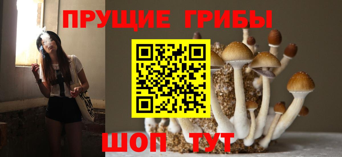 Галлюциногенные грибы ЛСД Похвистнево